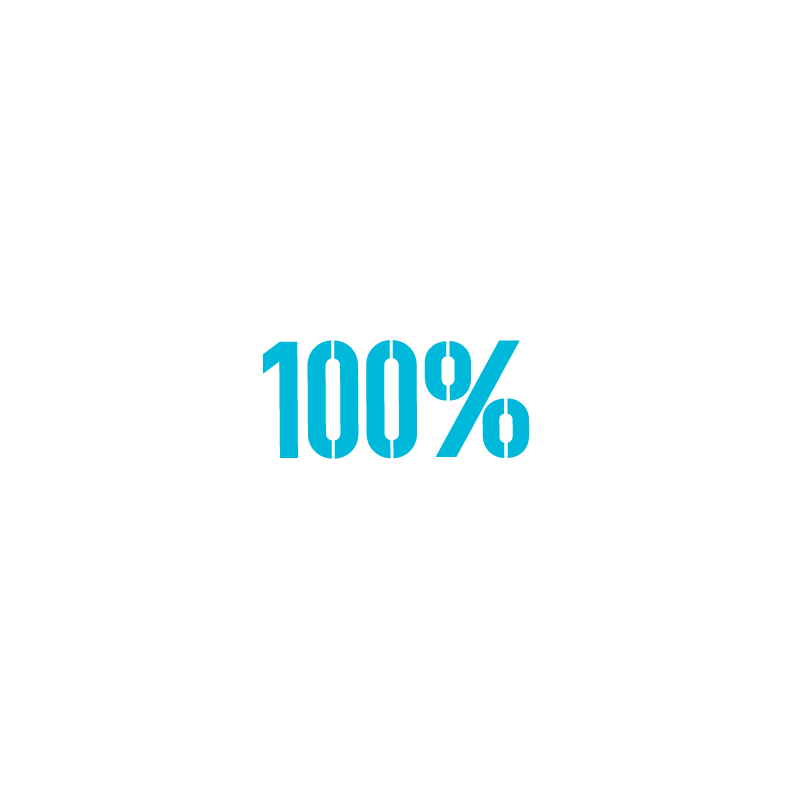 Cronograma 100% Individualizado